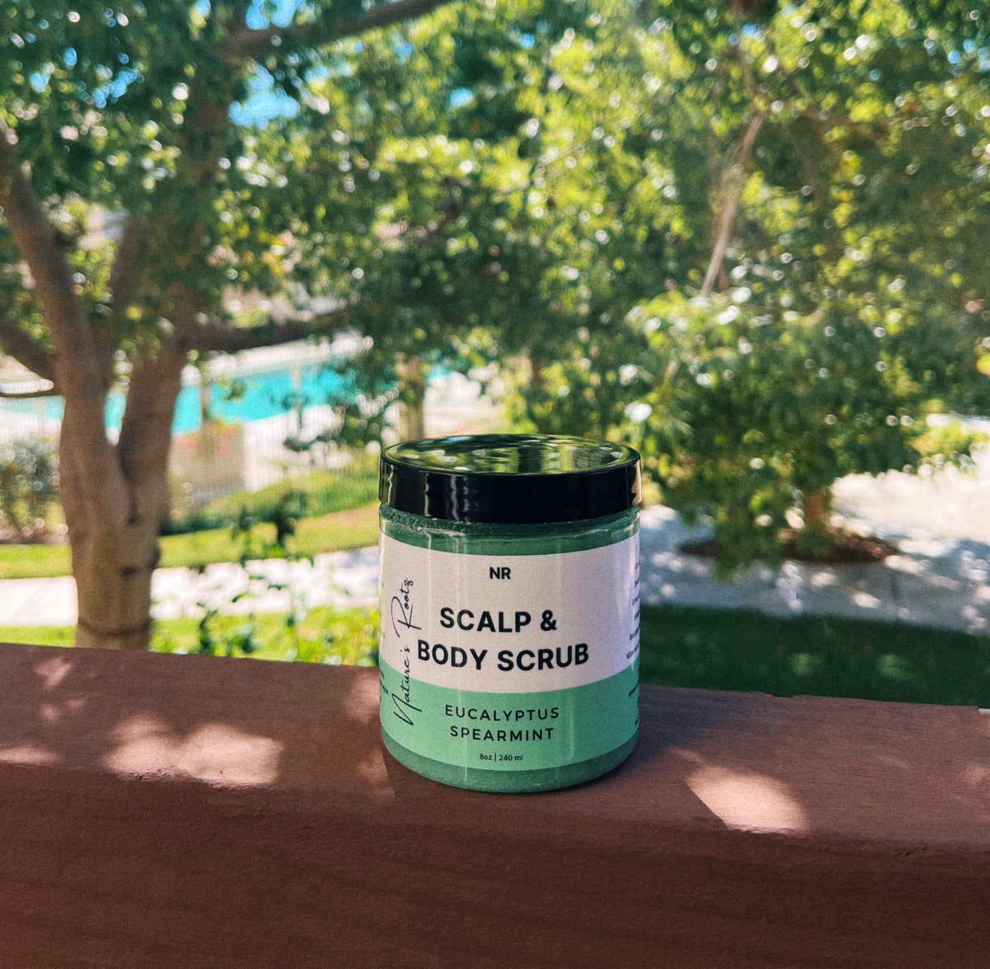 Eucalyptus + Spearmint Scalp & Body Scrub